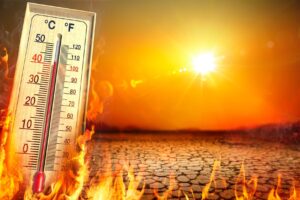 El aumento del calor global amenaza