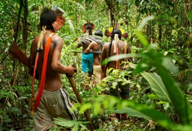 Mapeo sin precedentes revela superposición de extractivismo en territorios ancestrales indígenas 16 territorios ancestrales indígenas