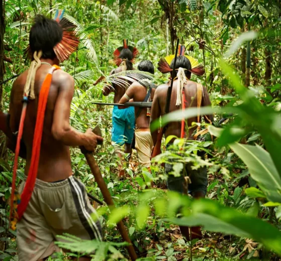 territorios ancestrales indígenas