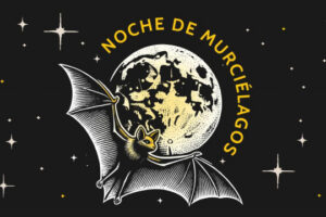 Noche de Murciélagos: celebra a los aliados nocturnos de la CDMX 11 NOCHE DE LOS MURCIELAGOS