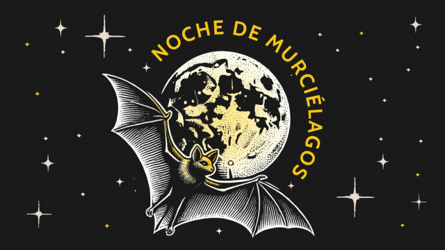 Noche de Murciélagos: celebra a los aliados nocturnos de la CDMX 11 NOCHE DE LOS MURCIELAGOS
