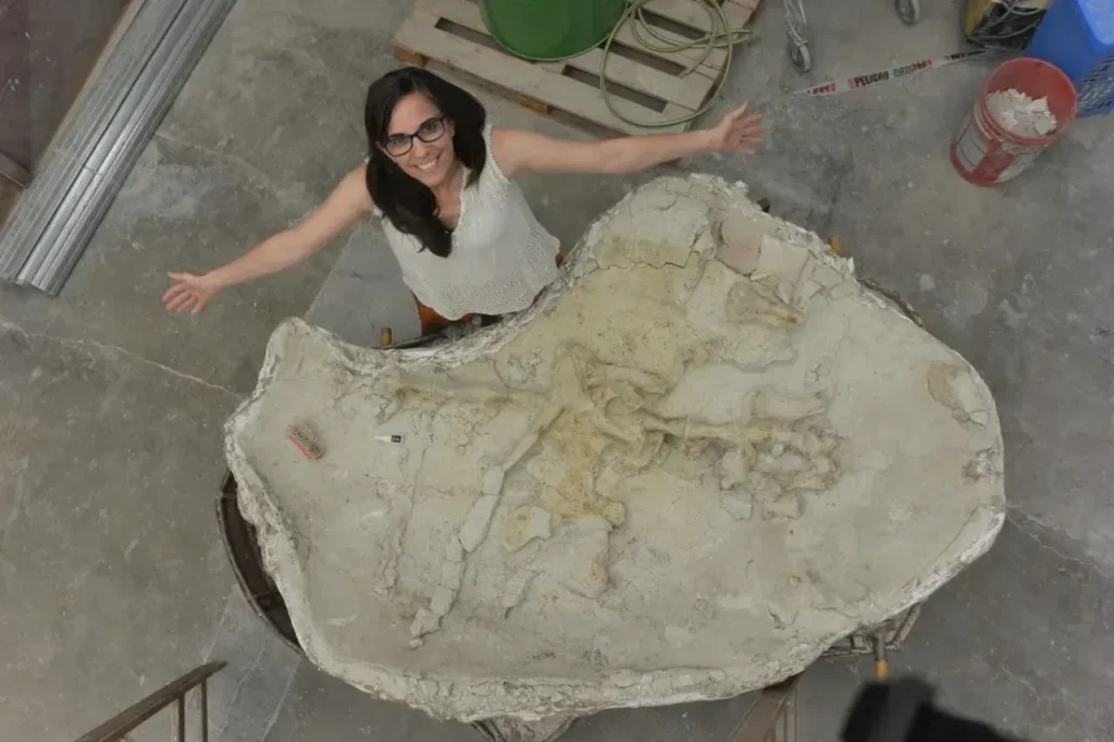 Descubren en la Patagonia una tortuga marina gigante de 20 millones de años 11 tortuga marina 2
