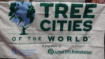 Tree Cities of the World: un distintivo con propósito 1 Tree Cities