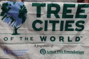 Tree Cities