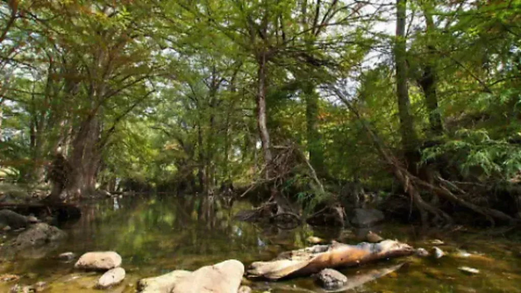 turismo regenerativo 2