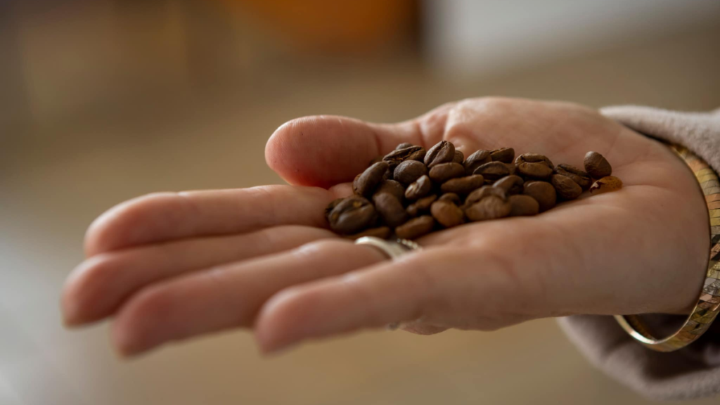 UAEMéx reflexiona sobre la cultura del café en el sur y su impacto territorial 11 UAEMéx reflexiona sobre la cultura del café