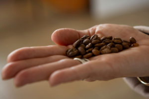 UAEMéx reflexiona sobre la cultura del café