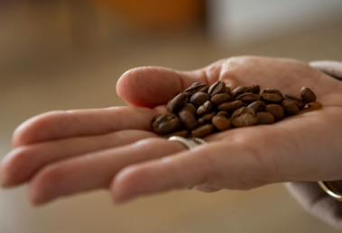 UAEMéx reflexiona sobre la cultura del café