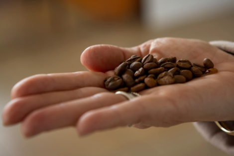 UAEMéx reflexiona sobre la cultura del café