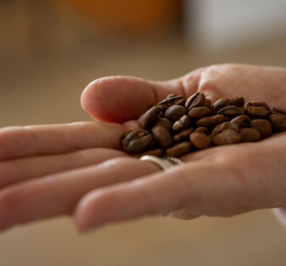 UAEMéx reflexiona sobre la cultura del café