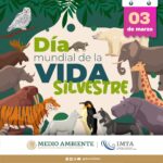 Día mundial de la vida silvestre: el origen y la importancia de esta fecha crucial para el planeta 2 vida silvestre