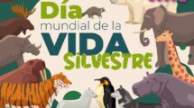 vida silvestre