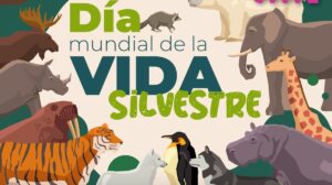 vida silvestre