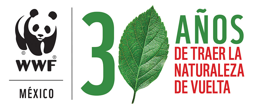 WWF México cumple 30 años con un mensaje contundente: actuar ya o enfrentar lo irreversible 11 30 años