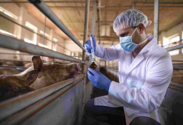 Lo fabuloso de la naturaleza en riesgo de desaparecer a causa de la zoonosis 20 zoonosis